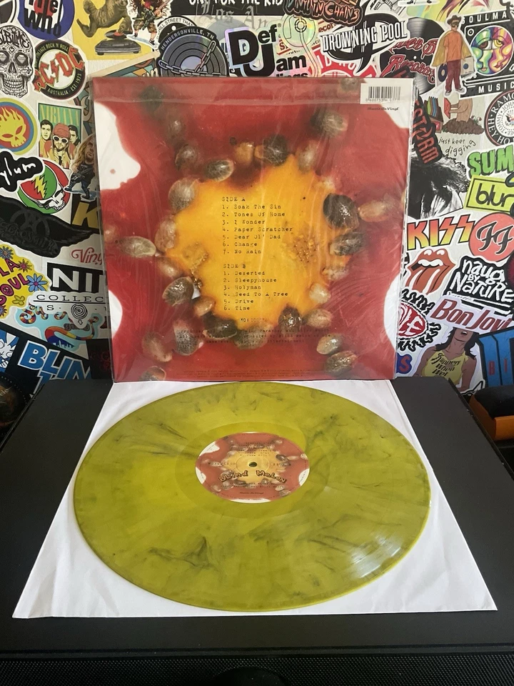 BLIND MELON Self Titled VG++ YELLOW/BLACK VINYL W/HYPE STICKER/2000 Foto 2 de 2