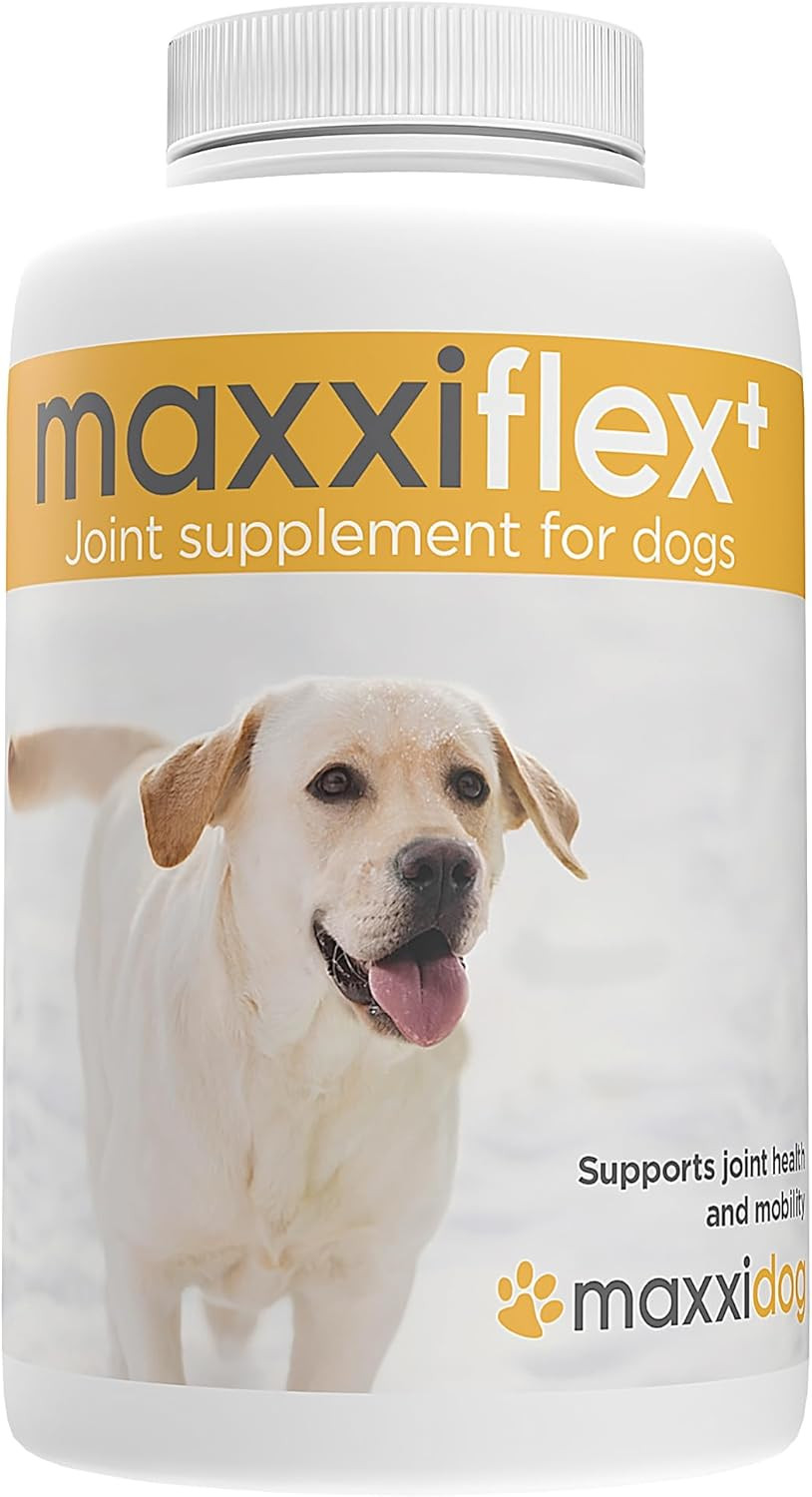 Maxxiflex+ Integratore Cane: Più Movimento, Più Avventure Insieme