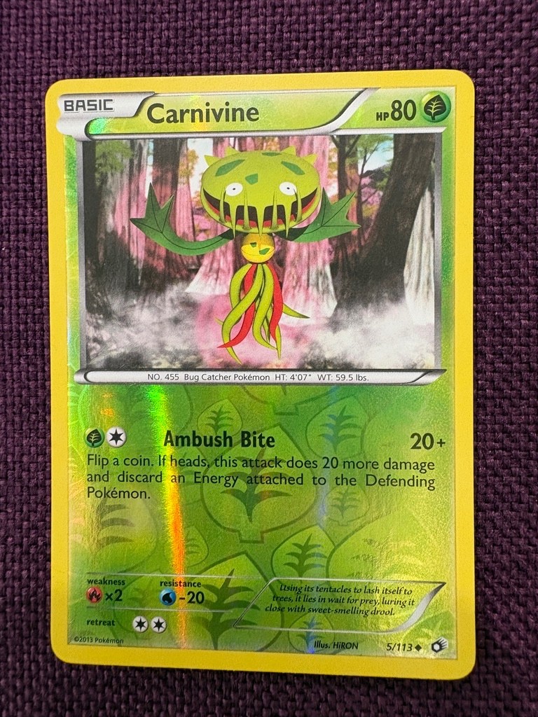 Pokémon BW Legendary Treasures Carnivine 5/113 Uncommon Reverse HOLO 2013 LP