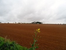 Image of Photo A3 Fallow field near Wheatley Wheatley/SP5905 Showing the red col c2014
