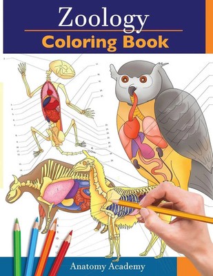 Zoology Coloring Book Anatomy Academy Taschenbuch Kartoniert / Broschiert 2020