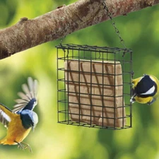 Suet Fat Cake Garden Bird Feeder Block Holder Green Metal With Hanging Chain