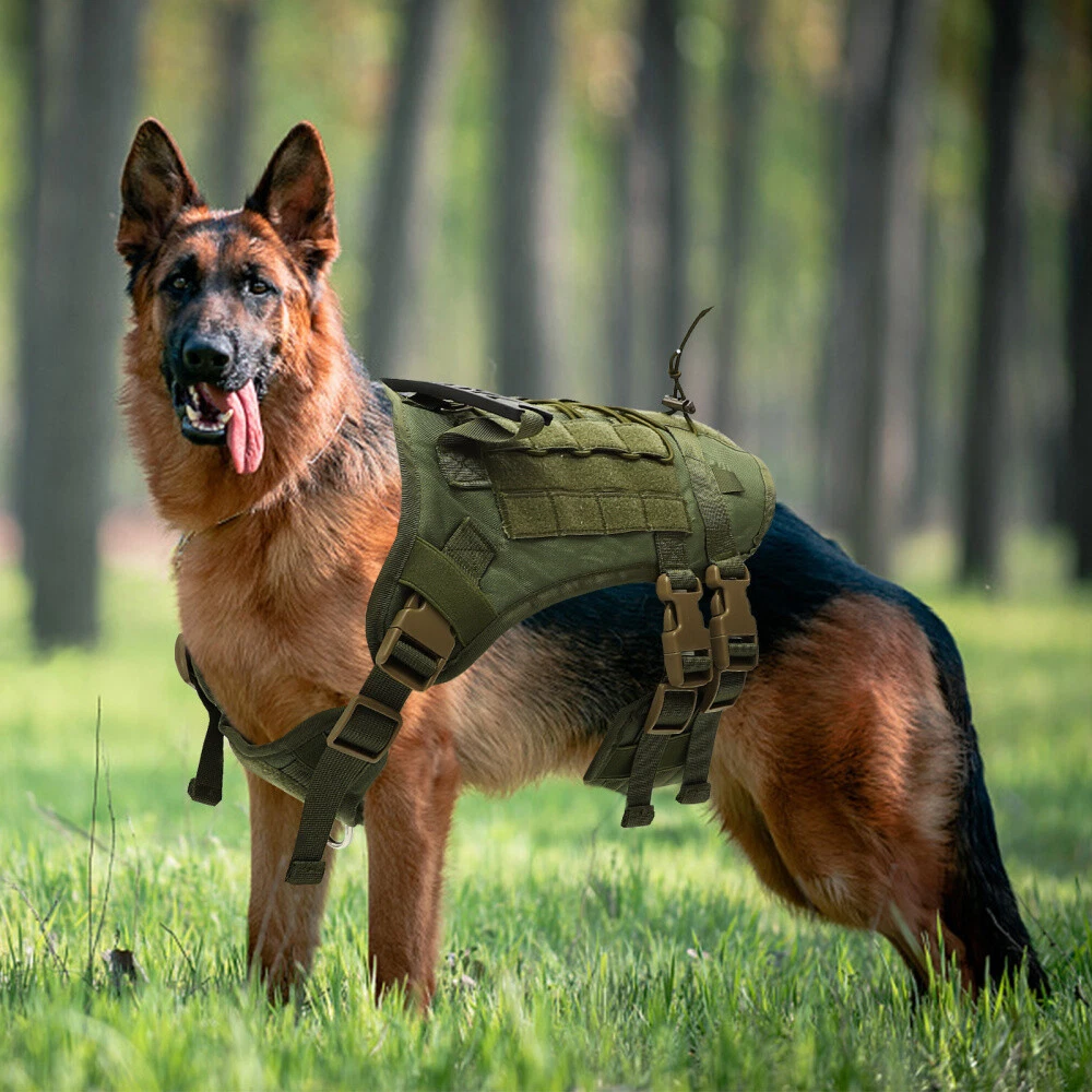 Dog Harness German Shepherd Eye-catching