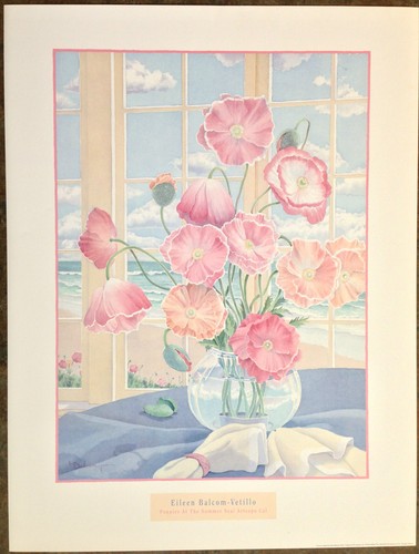 Eileen Balcom-Vetillo 