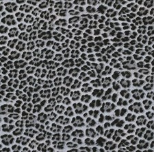 Feline Drive Fabric CHEETAH SPOTS Gray - Fat Quarter 18"x22" FQ