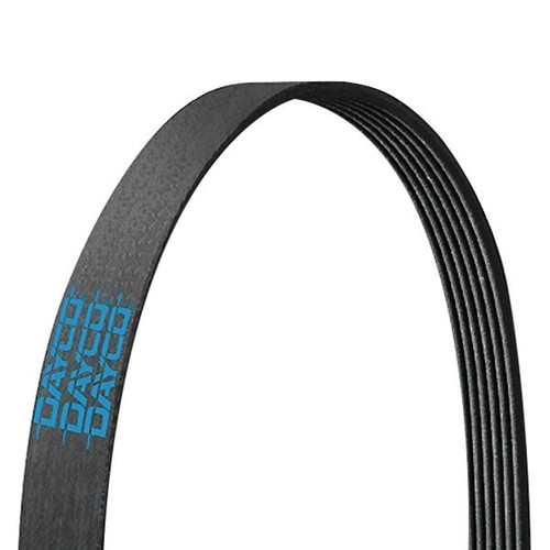 Dayco GOLD Label Poly Rib Heavy Duty Belt | eBay