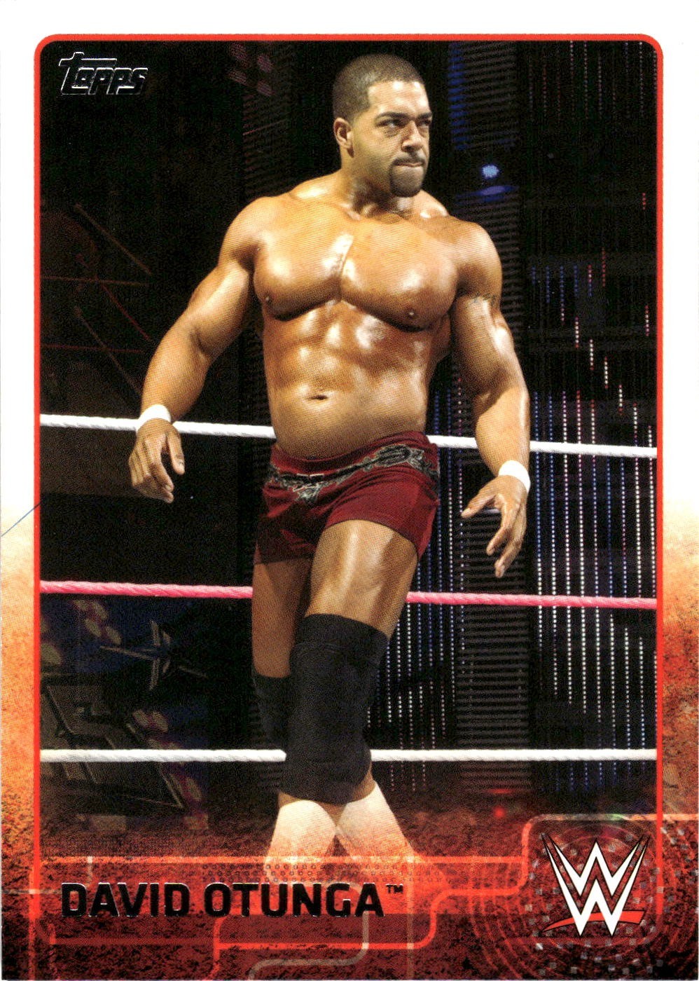 2015 Topps WWE David Otunga #23