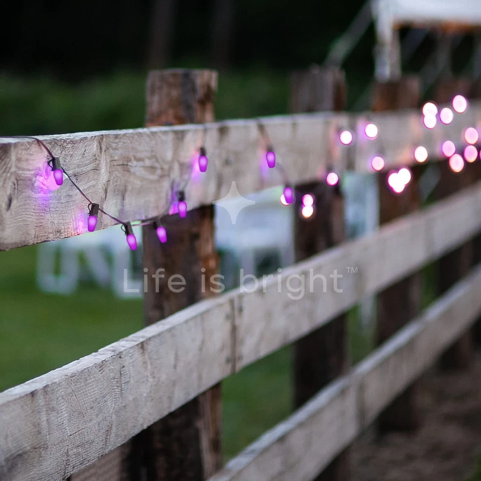 6 Pack Purple C7 Replacement Bulbs, 5W E12 Base for Outdoor String Lights - Image 4 of 4