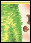 Bild 2 von 2