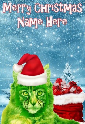 Grinch47 Maine Coon Katze Weihnachtsgrüße a5 Karte personalisierte Mutter Vater