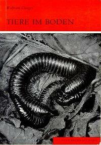 Tiere im Boden | Buch | 9783894324247