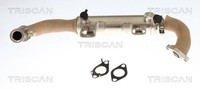 Triscan KüHler, AbgasrüCkfüHrung 8813 10059 FüR Alfa Romeo Opel Saab
