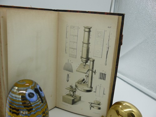 Libro Il microscopio e la sua applicazione 2a edizione Dr. Hermann Schacht 1855 - Foto 7 di 8