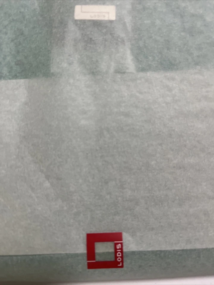 LODIS EMR329 Green Reptile Leather Easel Emerald iPad  Carrying Case - Image 3 of 4