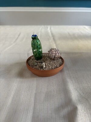Glass Cactus Decor Figure Paperweight 