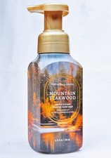 1 Bath  Body Works MOUNTAIN TEAKWOOD Gentle Foaming Hand Soap 8.75 oz