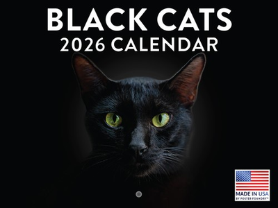 #ad Black Cat Calendar 2026 Black Cats Monthly Wall Calender 12 Month 12x18 $16.99