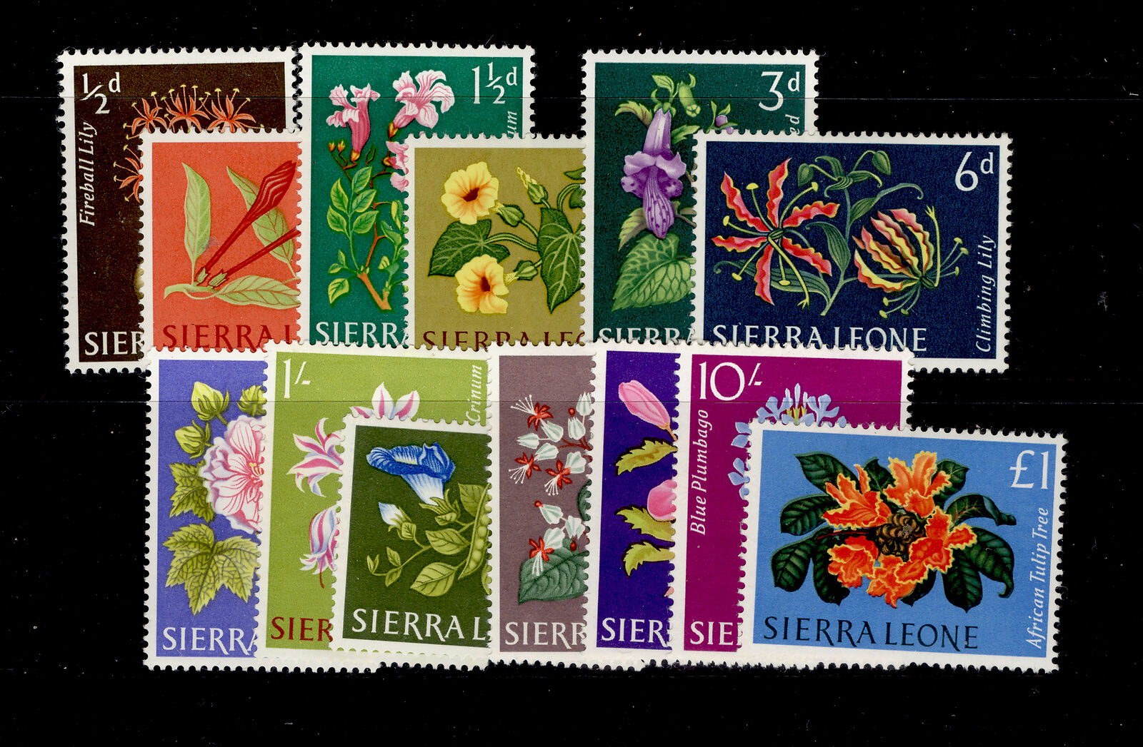SIERRA LEONE SG242-254 complete set Cat Classic New products, world's highest quality popular! MINT. LH £14.