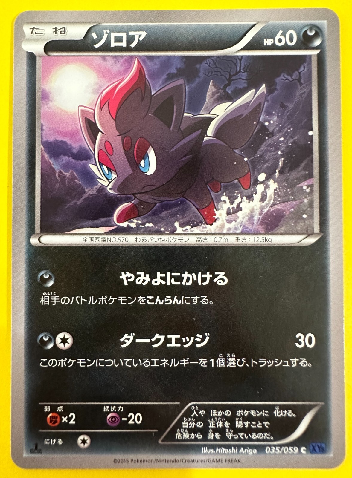 Zorua Common Japanese Pokemon Card 1st Edition XY8 Blue Shock 035/059 JP
