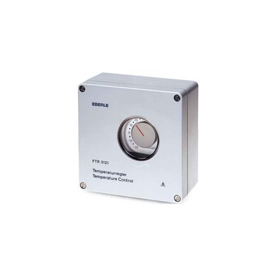 Eberle Controls Regler Dachrinnenbeheizung Frostwächter FTR-E-3121