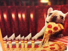 AVANTI BIRTHDAY CARDS New w/Envelopes LOT 6 "big slice of happy"  SPECIAL PRICE