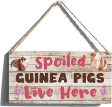 Spoiled Guinea Pigs Live Here Sign Farmhouse Lovely Guinea Pigs Wooden Hanging S