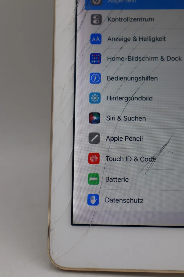 Apple iPad Pro 12,9 WiFi 2.Gen. A1670 256GB Rosé Gold Displayschaden #5318 - Bild 3 von 4