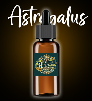 Astragalus Root Extract Liquid Astragalus Tincture - USA