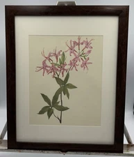 Vintage Pink Floral Print Framed Matted Cottage Garden Art 15.5x12.5 Wall Decor