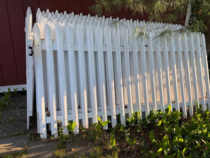 Painted 4ft by 8 ft wood fence panels 15 pieces in total plus a gate.