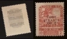 1920 FIUME   2cor su 2c  rosa bruno  - Sassone n. 108 Nuovo ottimo