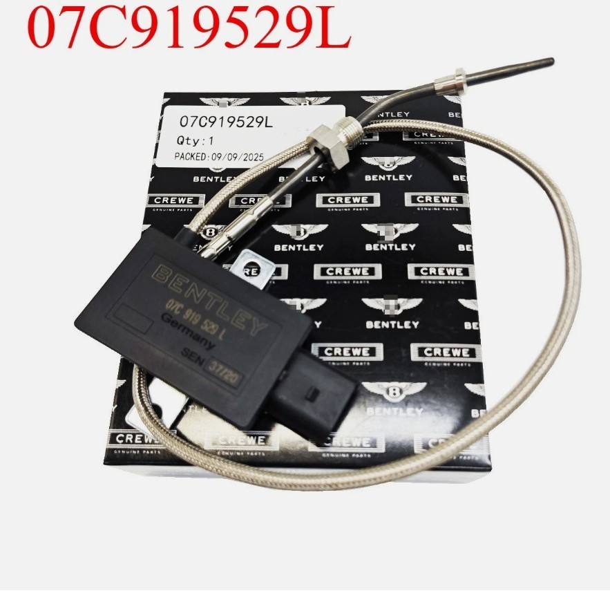 Bentley Continental GT 2004 Left Exhaust gas temperature sensor