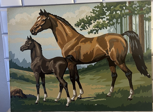 Horse and Foal Landscape Painting on Canvas, Paint by Numbers, approx 12x15 in