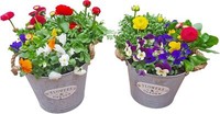 Pflanztopf 2Er Blumentopf Zinktopf Mit Jutegriffen 21/22 Cm ÜBertopf Blumentopf