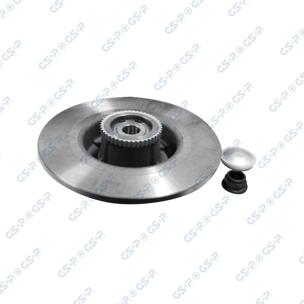 Bremsscheibe Hinten Links Rechts GSP 9225018K FÜR Renault Scheibenbremse-image