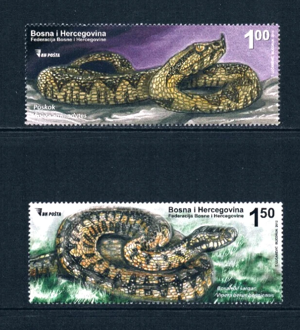 Valor Scott de $4,00 - 2012 Bosnia Serpientes Vida Silvestre de Europa del Este CV MNH NH UM Foto 3 de 4