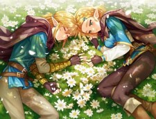 Anime link breath of the wild princess zelda hylian Stitched Gaming Mat Desk