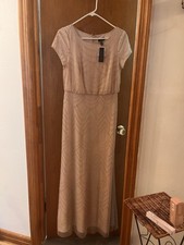 NWTAdrienne Papell Blush Pink Beaded Stunning Floor Length Gown