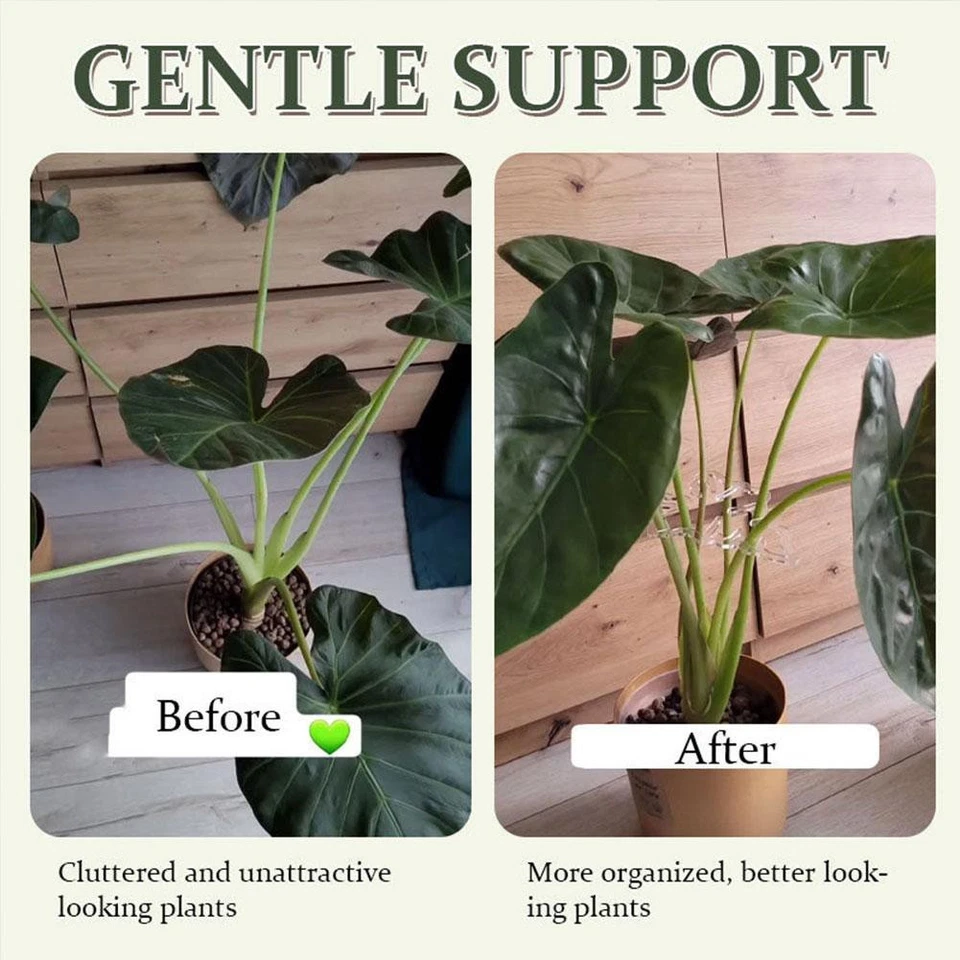 Portafiori trasparente progettato per espositori di piante fresche o artificiali - Immagine 2 di 4