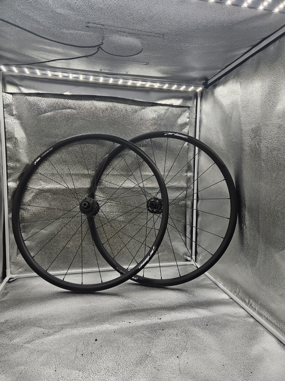 Prime Stagiaire Disc NS | eBay