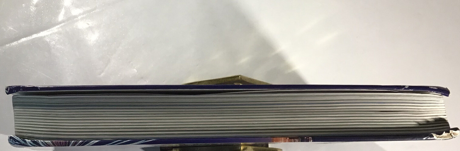 Picture 4 of 4