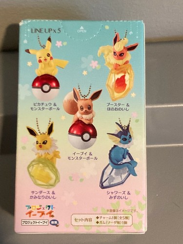 Pokemon Pikachutwinkle Dolly Keychain Charm Bandai Sealed New Ebay Pokemon Pikachutwinkle Dolly Keychain Charm Bandai Sealed New Ebay