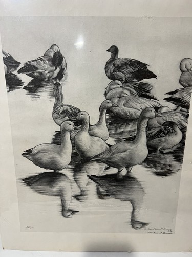 Vtg Joan Burnet Bruns Pencil Sketch. Ducks, Birds Still Life Sketch 54/200 - Picture 2 of 8