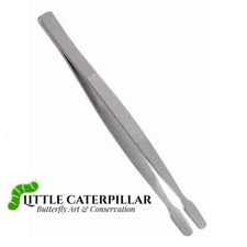 Spade Tip Entomology Steel Tweezers for Butterfly Mounting, Insect Spreading