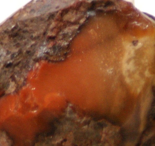 Bruneau Jaspis Lapidar Cabochon Fersenplatte 1,2 oz (35 Gramm) - Bild 4 von 4