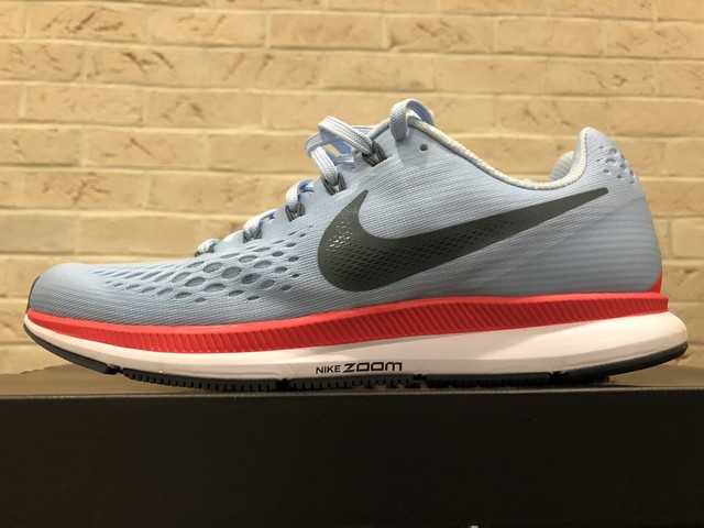 pegasus 34 ice blue