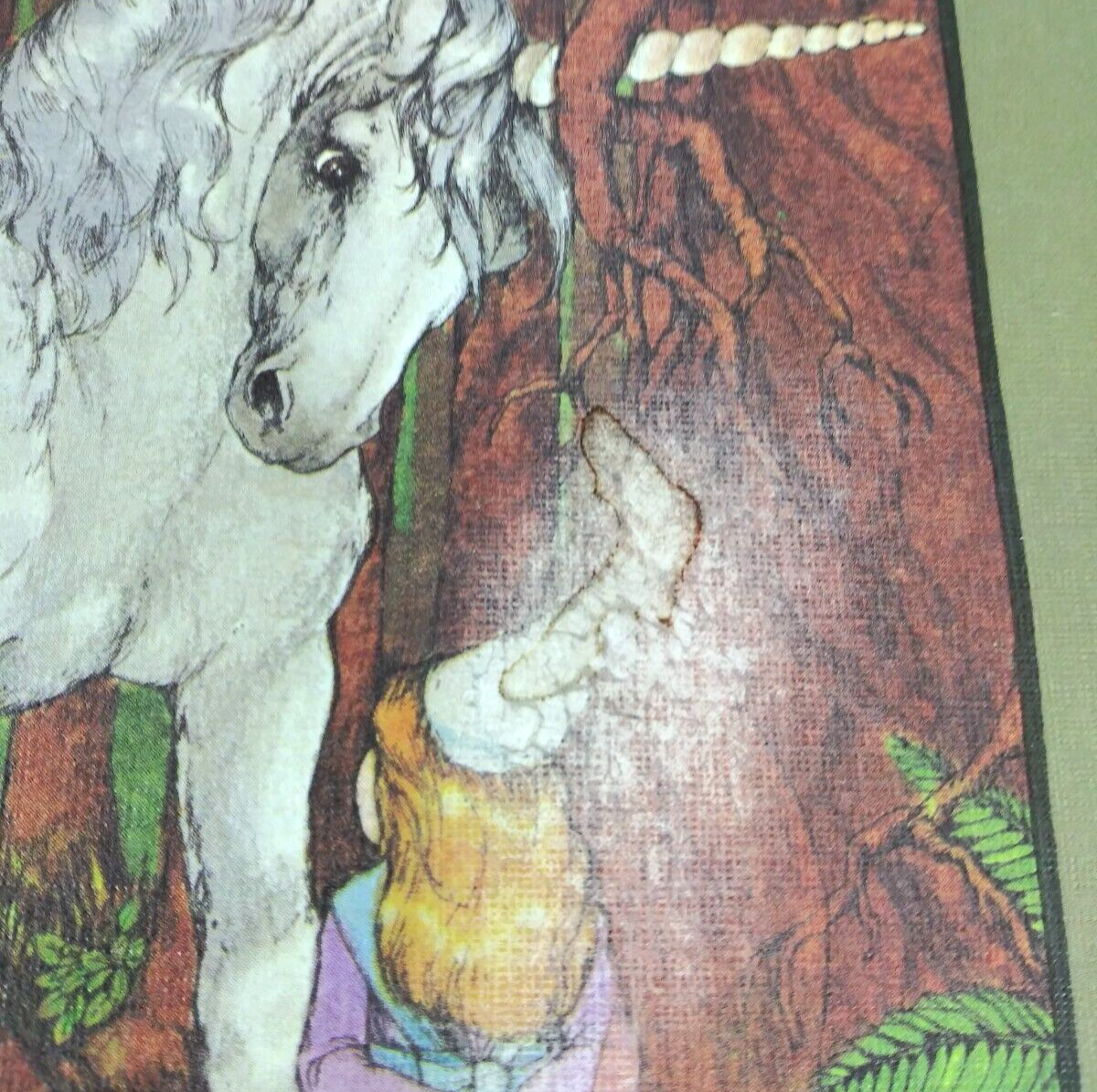 Picture 14 of 24