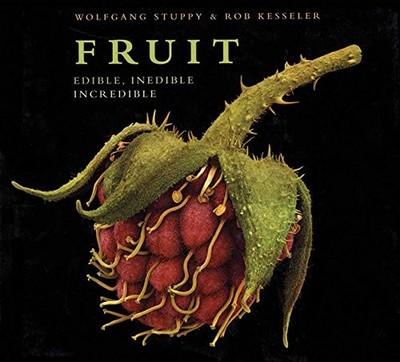 FRUIT: EDIBLE, INEDIBLE, INCREDIBLE By Wolfgang Stuppy - Hardcover **Excellent**