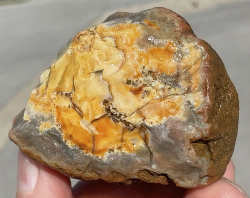 156g Kentucky Achat Geode Rough Estill County Green Botryoidal Chalcedon - Bild 12 von 16