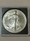 U.S. Mint American Eagle 2004 1 oz Silver Coins .999 Fine